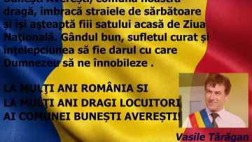 BUNESTI AVERESTI.mpg_snapshot_00.00.579