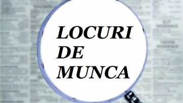 locuridemunca-1467716574