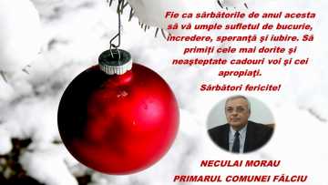 Falciu.mpg_snapshot_00.00.554