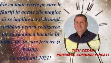 PUIESTI-LA MULTI ANI_2.mpg_snapshot_00.00.156