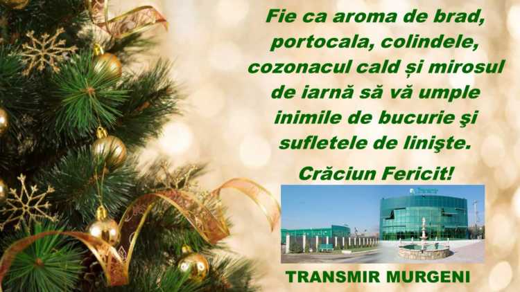 TRANSMIR.mpg_snapshot_00.00.422
