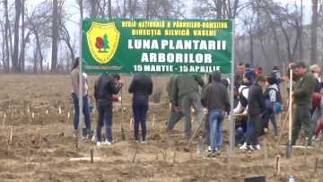 03672N.MXF_snapshot_00.07.692