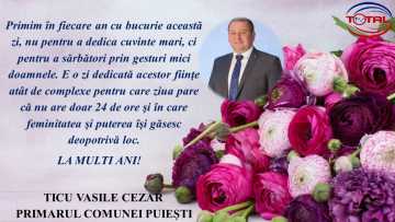 PUIEȘTI.mp4_snapshot_00.00.336