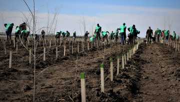 ROMSILVA_FOTO_IMPADURIRI_1