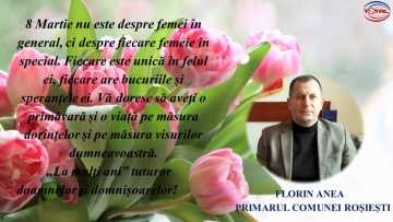 ROȘIEȘTI.mp4_snapshot_00.00.308