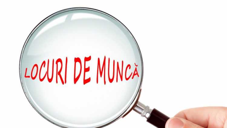 LM