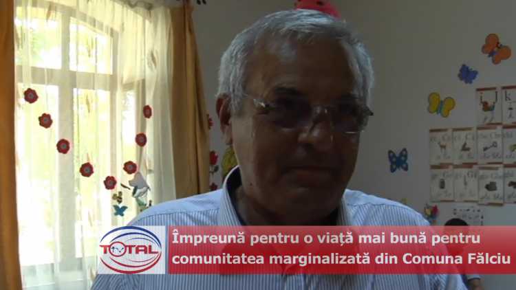 proiect falciu