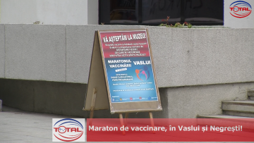 029_0806_01.00_00_25_23.Still001