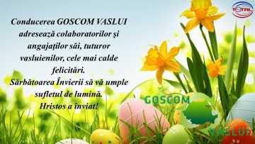 GOSCOM