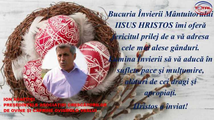 ION AGAFITEI