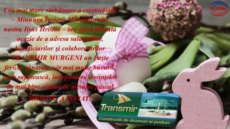 TRANSMIR