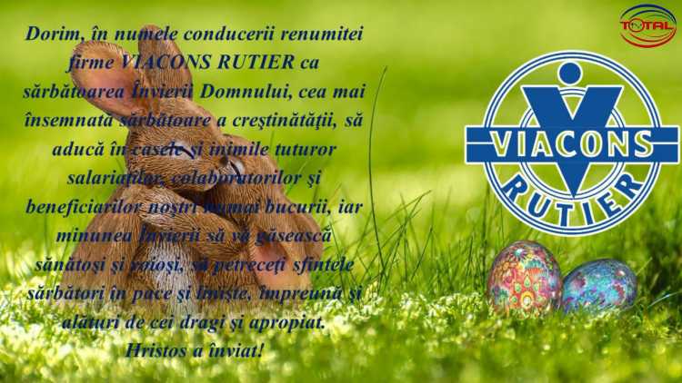 VIACONS