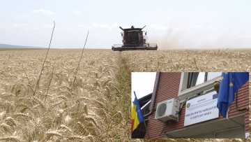 029_1317_01.00_04_52_18.Still001