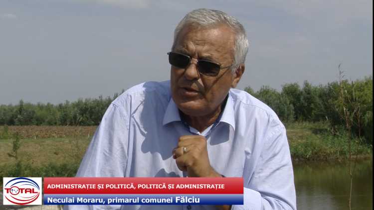 falciu