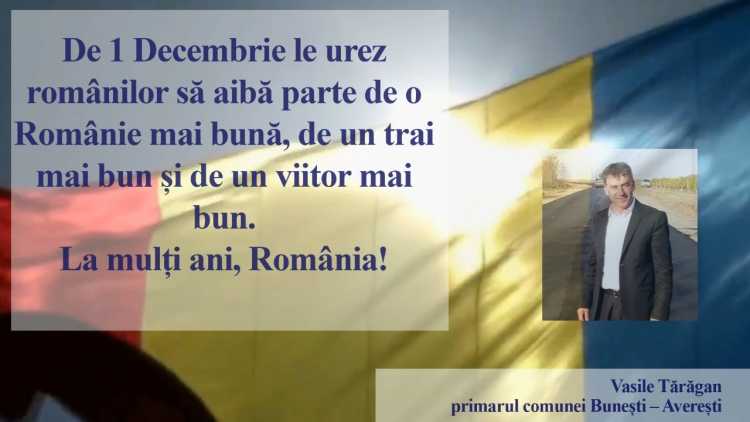 1 DECEMBRIE BUNESTI AVERESTI.mp4_snapshot_00.14.080