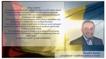 CONSILIUL JUDETEAN VASLUI