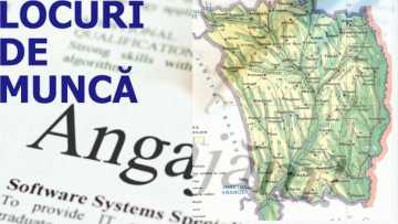 locuri-de-munca.00_00_00_00.Still001-2