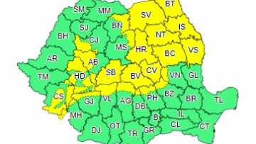 606-Cod-Galben-6-dec-2021