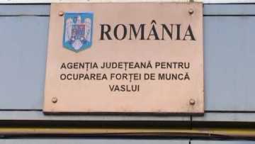 AJFM2.mpg_snapshot_00.10.191