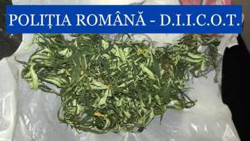 WhatsApp Image 2022-01-20 at 10.33.43