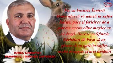 ZAPODENI.mpg.00_00_00_00.Still001