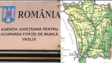 029_3588_01.00_00_33_15.Still001