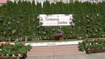 029_4825_01.MP4_snapshot_00.08.640