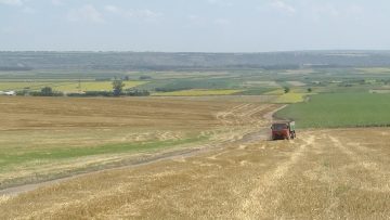 029_1323_01.MP4_snapshot_00.00.000