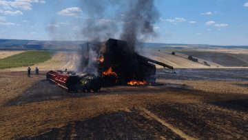 WhatsApp Image 2022-07-19 at 18.20.17