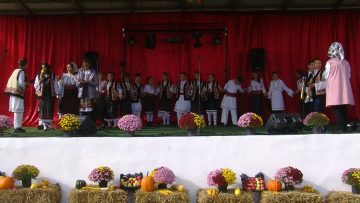 029_0178_06.MP4_snapshot_11.21.600