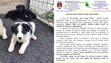 029_5670_01.00_00_07_20.Still001