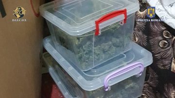 WhatsApp Image 2022-10-19 at 15.21.38