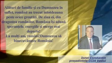 CCIA VASLUI.mp4_snapshot_00.04.786