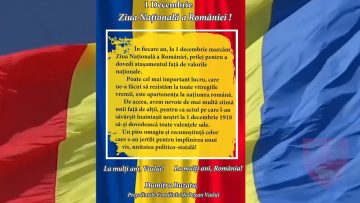 CJ VASLUI.mp4_snapshot_00.04.403