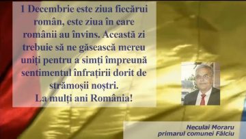 FALCIU.mp4_snapshot_00.22.697