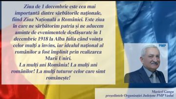 PMP.mp4_snapshot_00.18.201