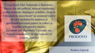 PRODOVO.mp4_snapshot_00.24.617