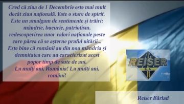 REISER.mp4_snapshot_00.32.228