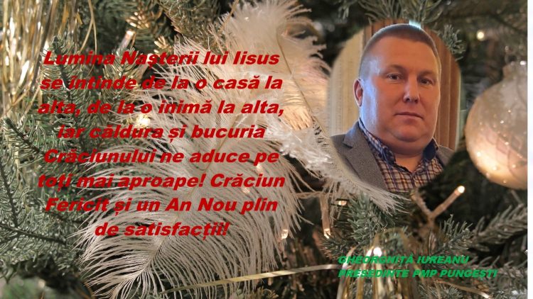 PMP PUNGESTI