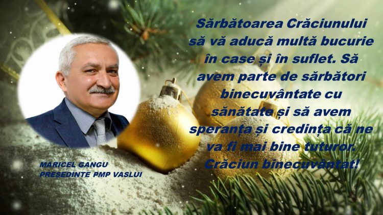 PMP VASLUI