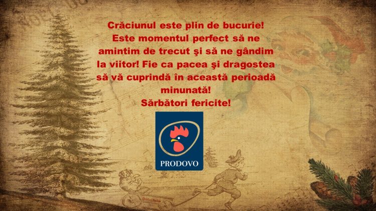 PRODOVO 1