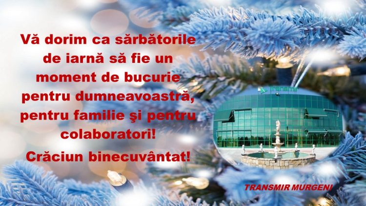 TRANSMIR