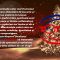 VIDEO//TV TOTAL VASLUI
