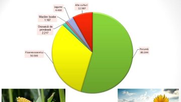 DAJ VS – Structura culturilor de primavara in 2023
