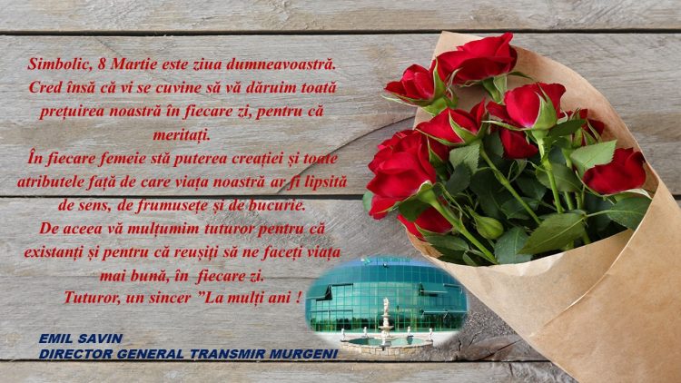 TRANSMIR