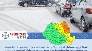 339924165_903377407660103_455870016707953733_n