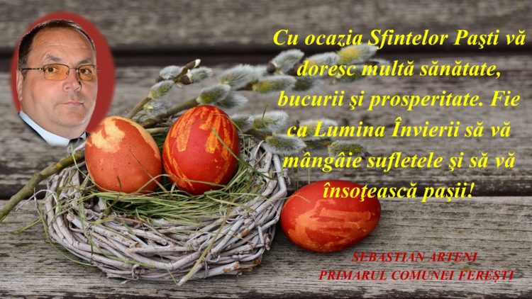FERESTI