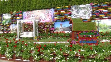 029_1605_01.MP4_snapshot_00.04.149