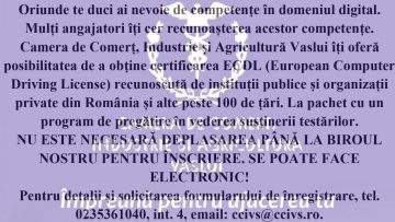 CURSURI-CCIA-VS.mp4_snapshot_00.20.518