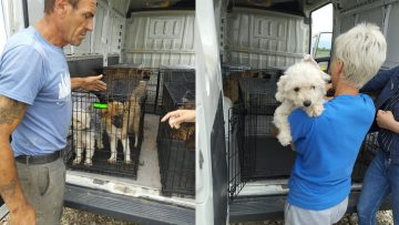 LIVE TVT .00_00_42_09.Still002